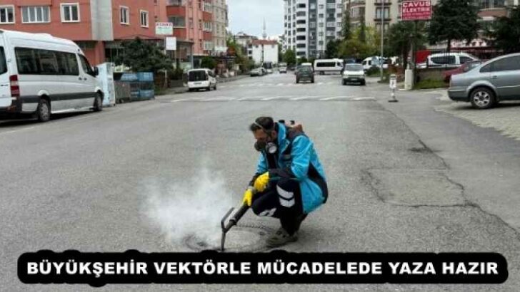 BÜYÜKŞEHİR VEKTÖRLE MÜCADELEDE YAZA HAZIR