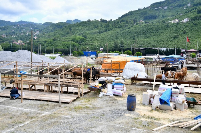 c0e7344e-cfea-45b7-bbfa-9c0f4269777e