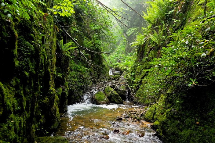 c69923f6-2fe8-4ed3-90c5-49b295fd2086