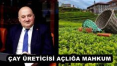 ÇAY ÜRETİCİSİ AÇLIĞA MAHKUM
