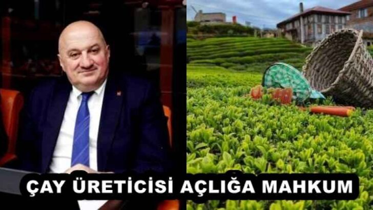 ÇAY ÜRETİCİSİ AÇLIĞA MAHKUM