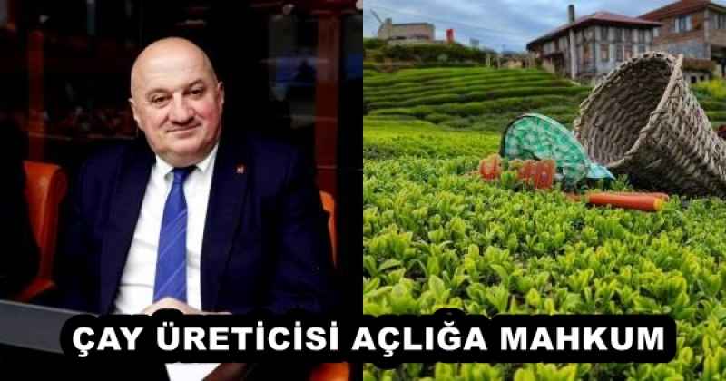 ÇAY ÜRETİCİSİ AÇLIĞA MAHKUM