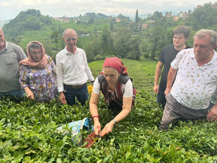 cbe5d636-387f-4015-a28f-e883092295f8