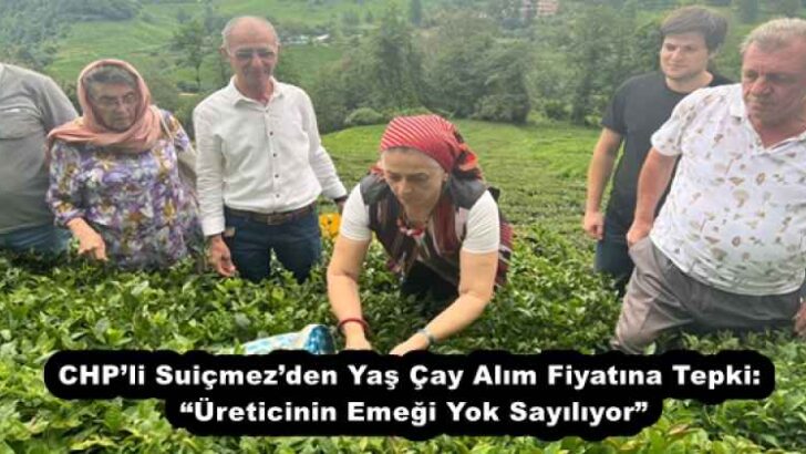 CHP’li Suiçmez’den Yaş Çay Alım Fiyatına Tepki: “Üreticinin Emeği Yok Sayılıyor”