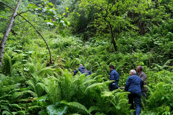 e08dab0e-0056-422e-bacd-3878e88920db