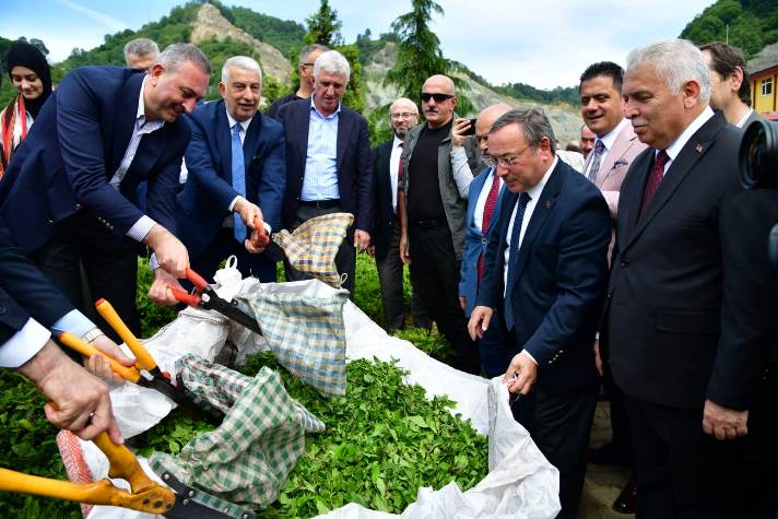 e3c430c4-4140-4901-9b80-b23ec83b7c51