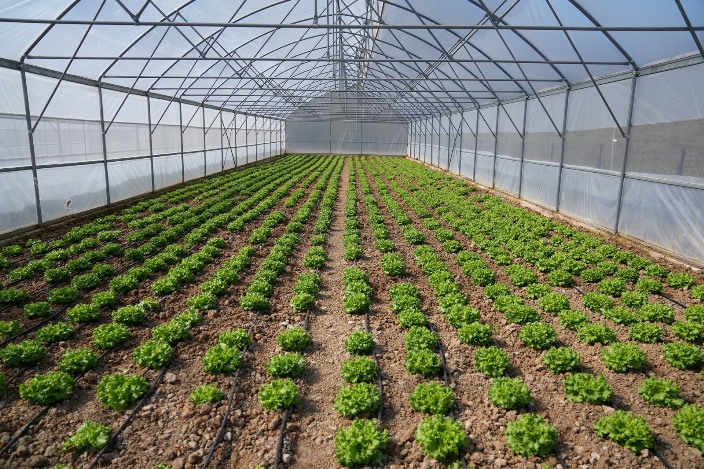 f8096dce-8b7d-4cfc-8816-e079d1597216