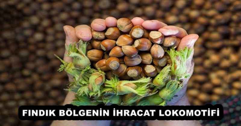 FINDIK BÖLGENİN İHRACAT LOKOMOTİFİ