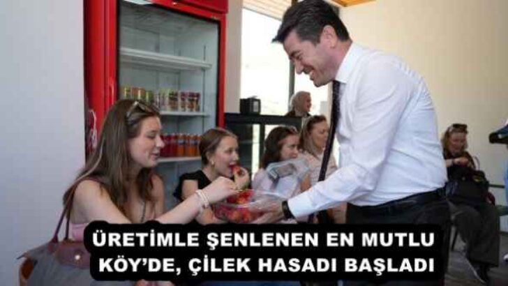 ÜRETİMLE ŞENLENEN EN MUTLU KÖY’DE, ÇİLEK HASADI BAŞLADI