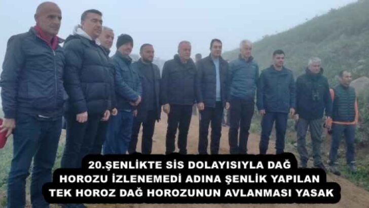 20.ŞENLİKTE SİS DOLAYISIYLA DAĞ HOROZU İZLENEMEDİ  ADINA ŞENLİK YAPILAN TEKHOROZ DAĞ HOROZUNUN AVLANMASI YASAK