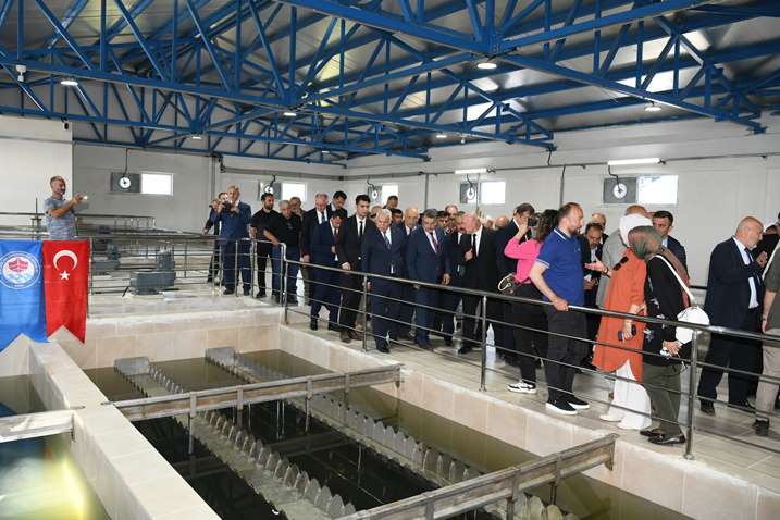 6dfc7003-e9ea-441e-862d-59a8e4623225