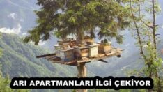 ARI APARTMANLARI İLGİ ÇEKİYOR