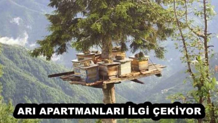 ARI APARTMANLARI İLGİ ÇEKİYOR