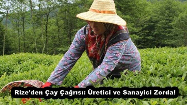 Rize’den Çay Çağrısı: Üretici ve Sanayici Zorda!