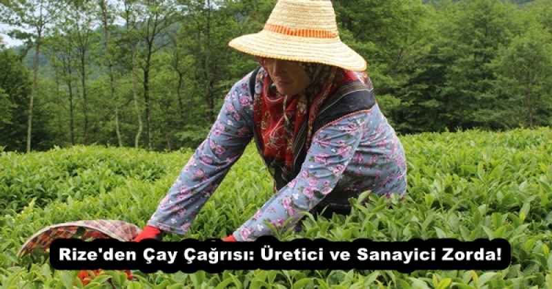 Rize'den Çay Çağrısı: Üretici ve Sanayici Zorda!