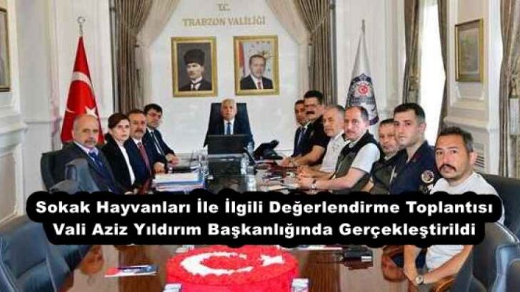 Sokak Hayvanları İle İlgili Değerlendirme Toplantısı Vali Aziz Yıldırım Başkanlığında Gerçekleştirildi 