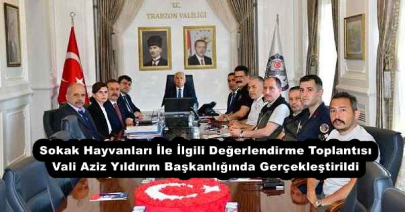 Sokak Hayvanları İle İlgili Değerlendirme Toplantısı Vali Aziz Yıldırım Başkanlığında Gerçekleştirildi 