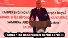 Trabzon’da kokarcaları korku sardı !!!!!!!!!