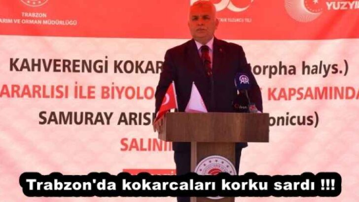 Trabzon’da kokarcaları korku sardı !!!!!!!!!