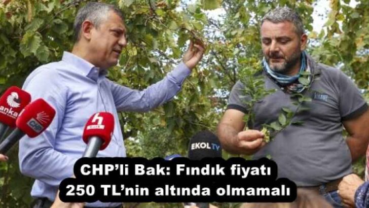 CHP’li Bak: Fındık fiyatı 250 TL’nin altında olmamalı