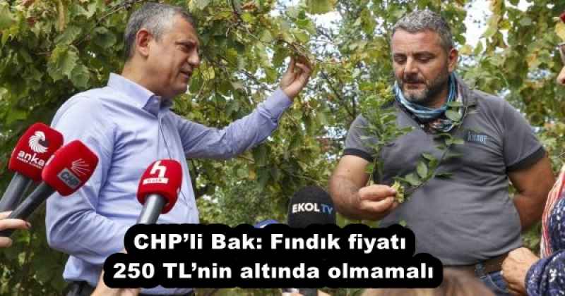 CHP’li Bak: Fındık fiyatı 250 TL’nin altında olmamalı