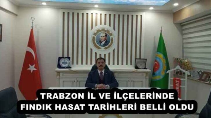 TRABZON İL VE İLÇELERİNDE FINDIK HASAT TARİHLERİ BELLİ OLDU