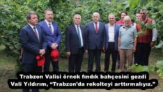 Trabzon Valisi örnek fındık bahçesini gezdi Vali Yıldırım, “Trabzon’da rekolteyi arttırmalıyız.”