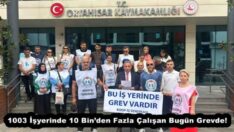 1003 İşyerinde 10 Bin’den Fazla Çalışan Bugün Grevde!