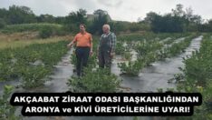 AKÇAABAT ZİRAAT ODASI BAŞKANLIĞINDAN ARONYA ve KİVİ ÜRETİCİLERİNE UYARI!