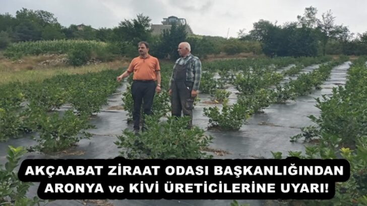AKÇAABAT ZİRAAT ODASI BAŞKANLIĞINDAN ARONYA ve KİVİ ÜRETİCİLERİNE UYARI!