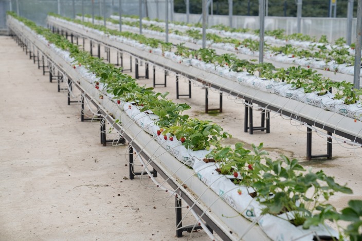 67bd2b31-63bc-4231-beff-9098b042b168