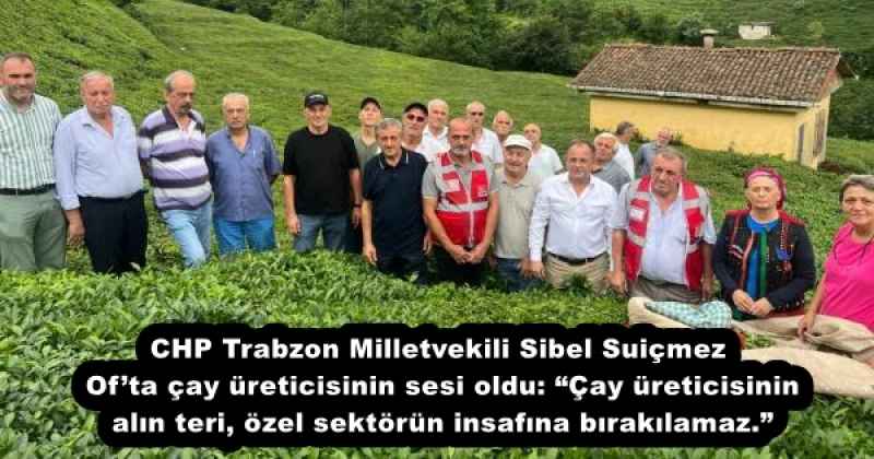 CHP Trabzon Milletvekili Sibel Suiçmez, Of’ta çay üreticisinin sesi oldu: “Çay üreticisinin alın teri, özel sektörün insafına bırakılamaz.”
