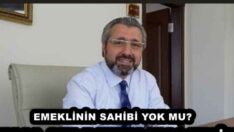 EMEKLİNİN SAHİBİ YOK MU?