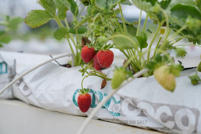 f509a4ce-3d14-4d93-b5ff-3ac94f747e57