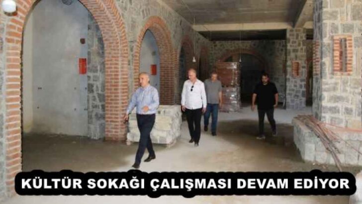 KÜLTÜR SOKAĞI ÇALIŞMASI DEVAM EDİYOR