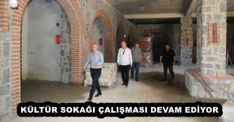 KÜLTÜR SOKAĞI ÇALIŞMASI DEVAM EDİYOR