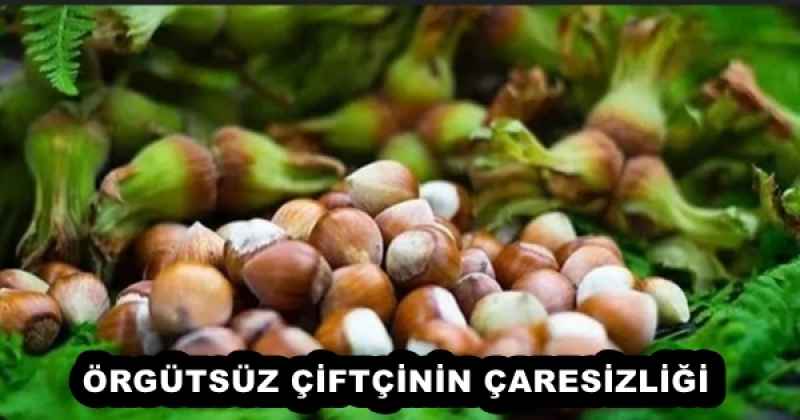 orgutsuz_ciftcinin_caresizligi_h54333_ef8e9 ÖRGÜTSÜZ ÇİFTÇİNİN ÇARESİZLİĞİ
