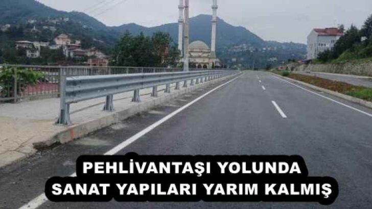 PEHLİVANTAŞI YOLUNDA SANAT YAPILARI YARIM KALMIŞ