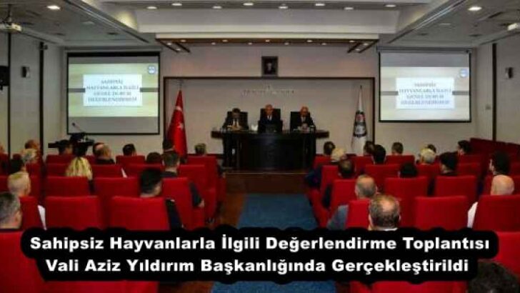 Sahipsiz Hayvanlarla İlgili Değerlendirme Toplantısı Vali Aziz Yıldırım Başkanlığında Gerçekleştirildi 