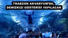 TRABZON AKVARYUM’DA, DENİZKIZI GÖSTERİSİ YAPILACAK