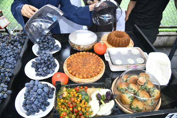 13a33b57-5a01-487f-a1ed-e2e2d0769a2f