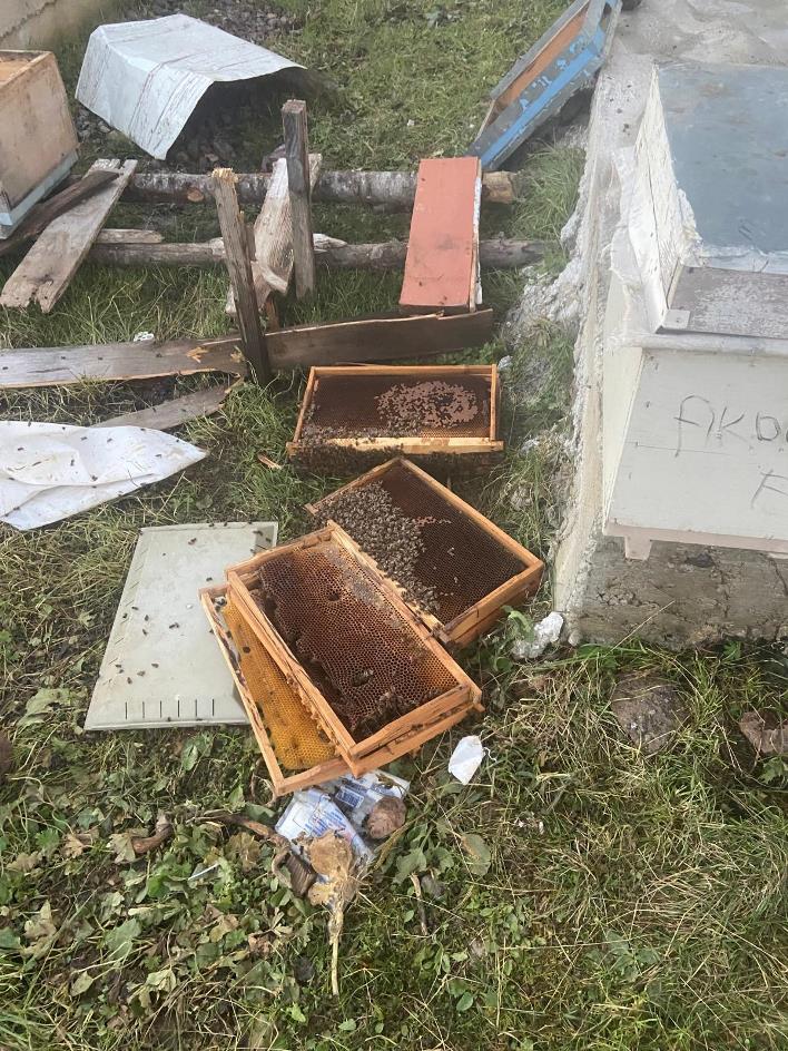 ayinin_parcaladiyi_kovanlar_1