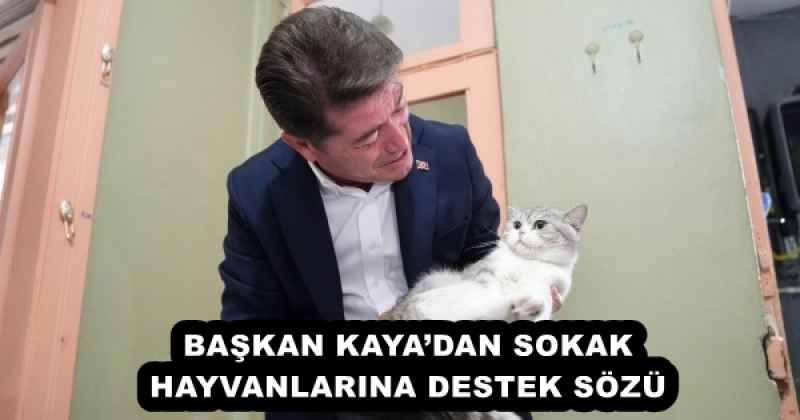 BAŞKAN KAYA’DAN SOKAK HAYVANLARINA DESTEK SÖZÜ