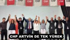 CHP ARTVİN DE TEK YÜREK 