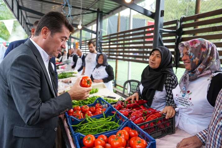 d1867756-68d8-4453-ab75-3b67fd37bbcd