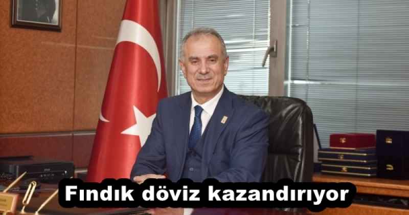 Fındık döviz kazandırıyor