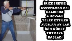 İKİZDERE’DE KOVANLARA AYI SALDIRISI 4 KOVANI TELEF ETTİLER  AVCILARAYILAR İÇİN NÖBET TUTMAYA BAŞLADI