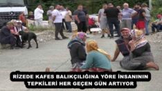 RİZEDE KAFES BALIKÇILIĞINA YÖRE İNSANININ TEPKİLERİ HER GEÇEN GÜN ARTIYOR