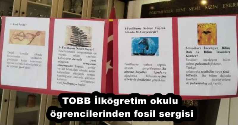 TOBB İlkögretim okulu ögrencilerinden fosil sergisi
