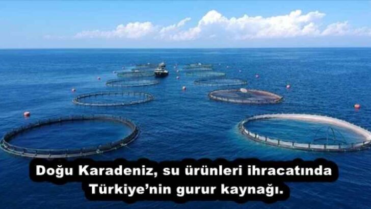 YATIRIMI ENGELLEMEK, HALKIN EKMEĞİYLE OYNAMAKTIR